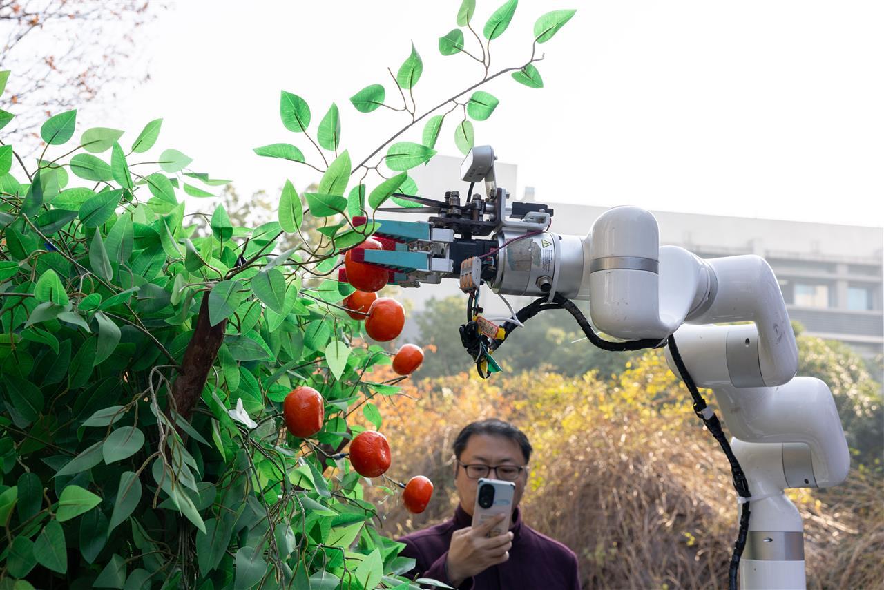 8 柑橘采摘机器人演示(学通社记者 赖德义 摄).JPG 8 柑橘采摘机器人演示(学通社记者 赖德义 摄).JPG